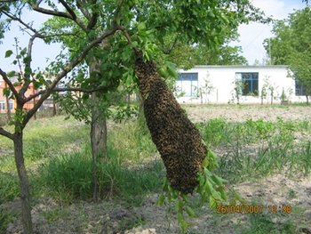 IMG_1540.JPG