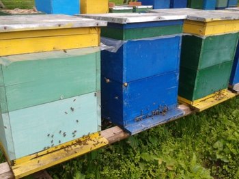 2012-05-19 14.06.24.jpg
