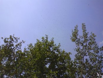 DSC00912.JPG