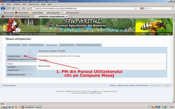 mesal22.jpg