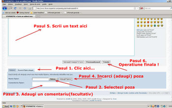 poze11.jpg