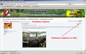 mesaj1.jpg