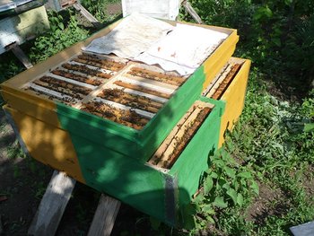 P1080179.JPG