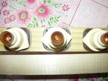 P1030261 (Medium).JPG