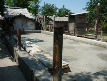 P1030292 (Medium).JPG