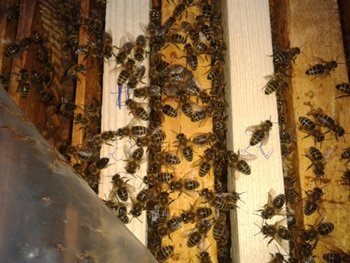 2012-06-08 20.44.40.jpg