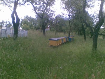 Poza(004).jpg