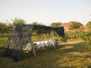 rsz_dscn3088.jpg