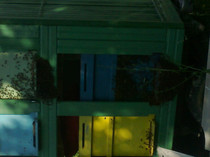 75995040.jpg