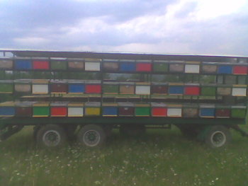 Imag084.jpg