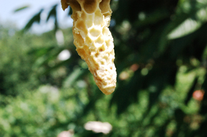 DSC_6772.jpg