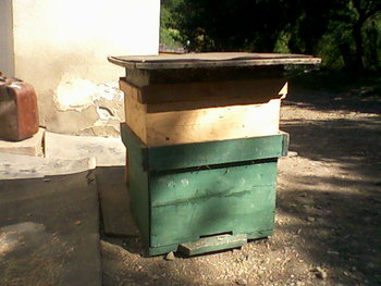 Fotografii-0021.jpg