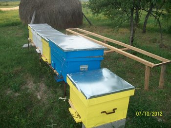 Picture 03.jpg