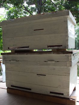 DSCF6120.JPG