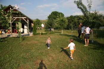 IMG_42034.JPG
