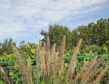 rsz_4dscn3153.jpg