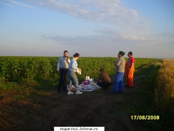 ok_28204.jpg