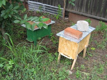 IMG_13101.JPG