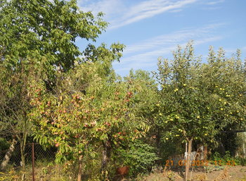 rsz_1dscn3231.jpg