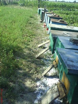 DSC06221.JPG