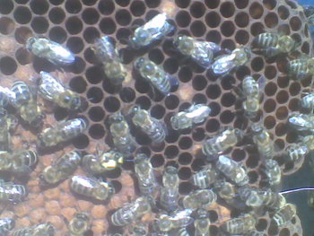 Mar-Apr 2012088.jpg