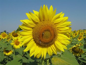 IMG_5717 (Small).jpg