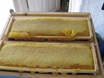 IMG_5720 (Small).jpg