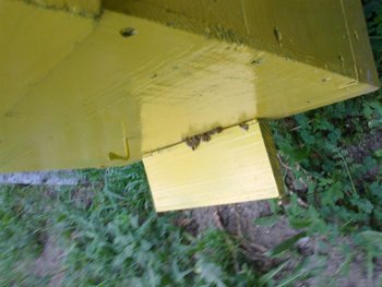 27072012110.jpg