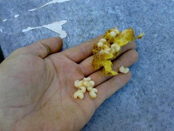 05052011002 (Medium).jpg