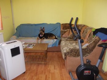 040.JPG