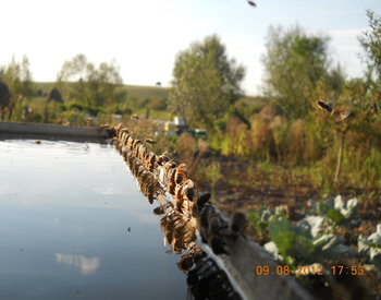 rsz_3dscn3438.jpg