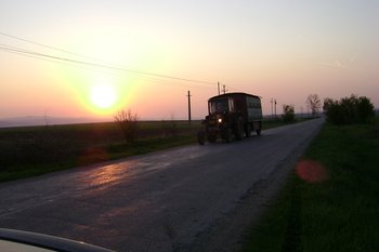 DSC02423.JPG