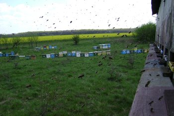 DSC02435.JPG