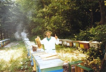 Valea Rozaliei.jpg