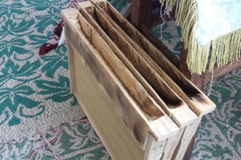 DSCF1096 (Small).JPG