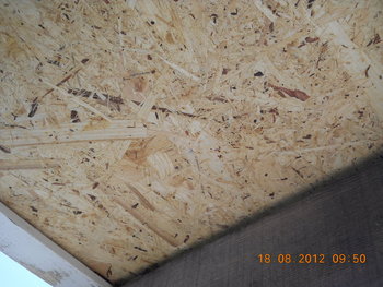 rsz_dscn3548.jpg
