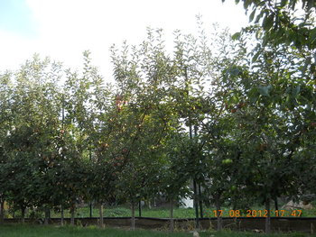 rsz_1dscn3469.jpg