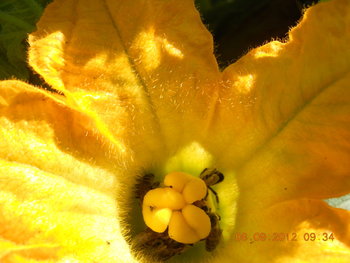 rsz_dscn3747.jpg