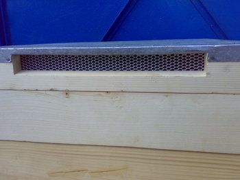 10052011044.jpg