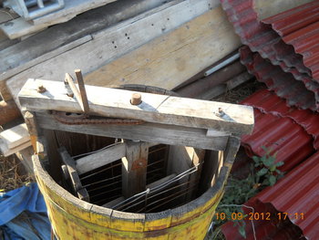 rsz_dscn3831.jpg