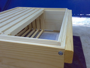 10052011057.jpg