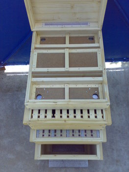 10052011051.jpg