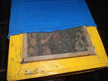 DSC01480 (Small).JPG