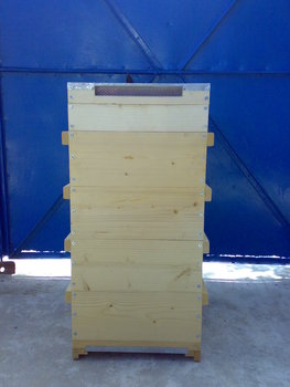 10052011046.jpg