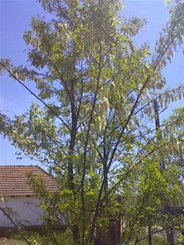 11052011063.jpg