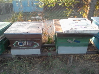 Foto-0050.jpg