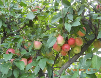 rsz_3dscn3959.jpg