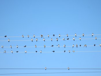IMG_1869.jpg