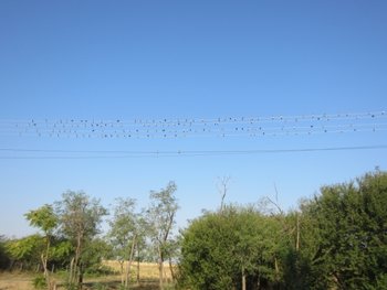 IMG_1870.jpg