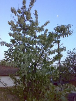13052011068 (Copy).jpg